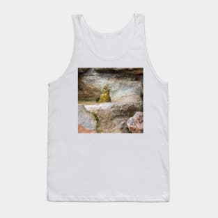 Bath Time for Female Summer Tanager Tank Top